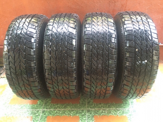 ยาง presa at 31 ปี 14