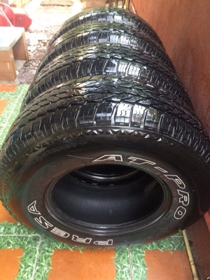 ยาง presa at 31 ปี 14 ยาง presa at 31 ปี 14