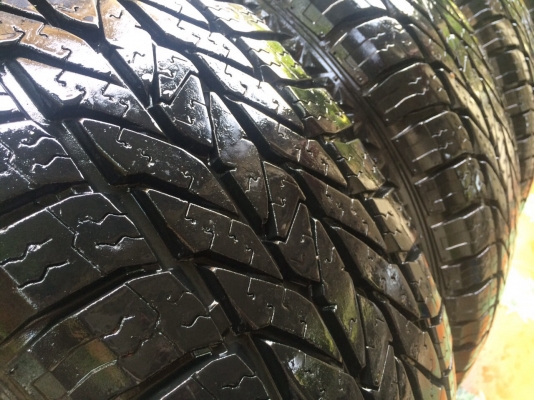 ยาง presa at 31 ปี 14 ยาง presa at 31 ปี 14