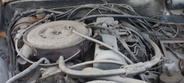 เบ๊นซ์ W123-300D