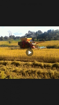 รถเกี่ยวข้าวเกษตรพัฒนาสภาพดีพร้อมใช้งาน
