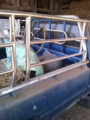 ขายไมตี้ปี36ตอนเดียว  เอกสารพร้อมโอน