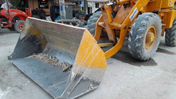 ขายรถตักล้อยาง JH30 เดิมๆ ตามรุ่น เอกสารเล่มทะเบียน ขายรถตักล้อยาง JH30 เดิมๆ ตามรุ่น เอกสารเล่มทะเบียน