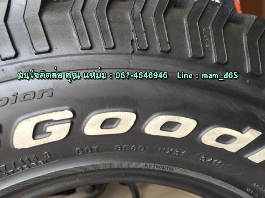 ขายยาง All BF 265-70 R16 ปลายปี 2011 ดอกยางลึก 1.1 ซม. ติดหนวดกุ้ง ไม่บวม ไม่แตกลายงา ไม่มีปะ ไม่บั้ง ดอกเสมอทั้ง 4 เส้น ขายยาง All BF 265-70 R16 ปลายปี 2011 ดอกยางลึก 1.1 ซม. ติดหนวดกุ้ง ไม่บวม ไม่แตกลายงา ไม่มีปะ ไม่บั้ง ดอกเสมอทั้ง 4 เส้น