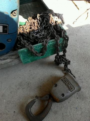 รอกไฟฟ้า DEMAG 250 kg