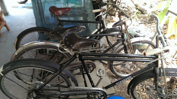 ขายจักรยานโบราณของปู๋ครับขายยกรวมครับไม่รู้เรื่องจักรยานครับถ้าชอบจัดเลยครับราคาชิวๆ