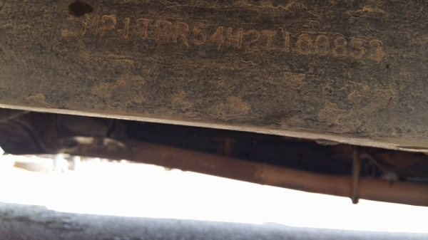 ขายดราก้อนปี2001 ปลายปี