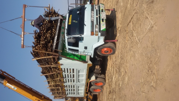 ขายรถสิบล้อสองเพลาดรั้ม