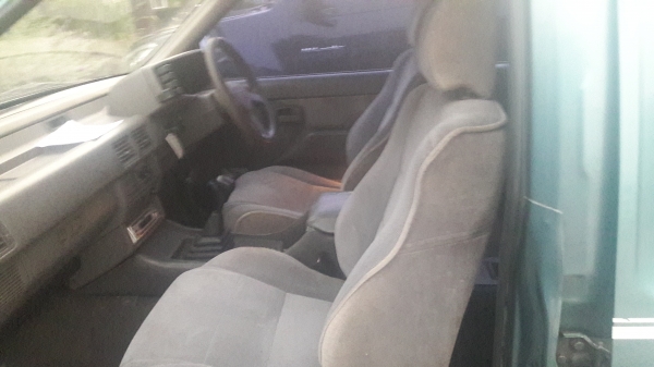 มังกรทองแวน สวยๆและถูกจัด