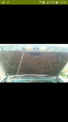 มังกรทองแวน สวยๆและถูกจัด