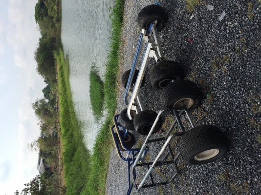 ขายดอลี่หลายตัว