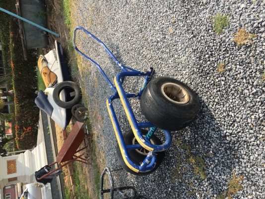 ขายดอลี่หลายตัว