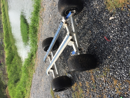 ขายดอลี่หลายตัว