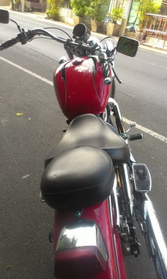 ขาย shadows 1100 ace