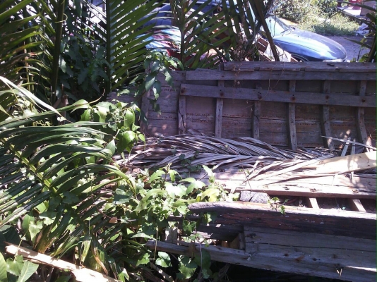 เรือไม้สัก