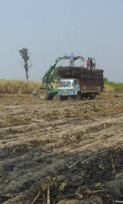 ขาย 430.000 รถบรรทุก 6ล้อใหญ่บรรทุกได้25ตันสภาพดี พร้อมลุยงานหนัก ขาย 430.000 รถบรรทุก 6ล้อใหญ่บรรทุกได้25ตันสภาพดี พร้อมลุยงานหนัก