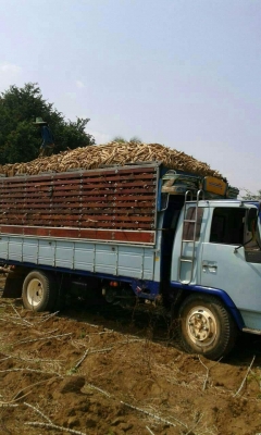 ขายรถ6ล้อ ร็อกกี้165แรง ยาว5.20เมตร เครื่องดีแคชซีสวย ยางดี ภายในสวย รถพร้อมใช้ เอกสารพร้อมโอน สนใจโทร 090-8588220คุณนะ 093-3258446คุณบิว หรือเข้าดูสินค้าอื่นๆได้ที่ www.truck.in.th/498 หรือเพจFacebook ณรงค์ ซื้อขายรถมือสอง (เว็บไซต์ส่วนตัว) หรือFacebook ขายรถ6ล้อ ร็อกกี้165แรง ยาว5.20เมตร เครื่องดีแคชซีสวย ยางดี ภายในสวย รถพร้อมใช้ เอกสารพร้อมโอน สนใจโทร 090-8588220คุณนะ 093-3258446คุณบิว หรือเข้าดูสินค้าอื่นๆได้ที่ www.truck.in.th/498 หรือเพจFacebook ณรงค์ ซื้อขายรถมือสอง (เว็บไซต์ส่วนตัว) หรือFacebook