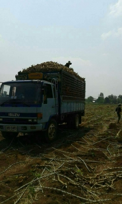 ขายรถ6ล้อ ร็อกกี้165แรง ยาว5.20เมตร เครื่องดีแคชซีสวย ยางดี ภายในสวย รถพร้อมใช้ เอกสารพร้อมโอน สนใจโทร 090-8588220คุณนะ 093-3258446คุณบิว หรือเข้าดูสินค้าอื่นๆได้ที่ www.truck.in.th/498 หรือเพจFacebook ณรงค์ ซื้อขายรถมือสอง (เว็บไซต์ส่วนตัว) หรือFacebook ขายรถ6ล้อ ร็อกกี้165แรง ยาว5.20เมตร เครื่องดีแคชซีสวย ยางดี ภายในสวย รถพร้อมใช้ เอกสารพร้อมโอน สนใจโทร 090-8588220คุณนะ 093-3258446คุณบิว หรือเข้าดูสินค้าอื่นๆได้ที่ www.truck.in.th/498 หรือเพจFacebook ณรงค์ ซื้อขายรถมือสอง (เว็บไซต์ส่วนตัว) หรือFacebook