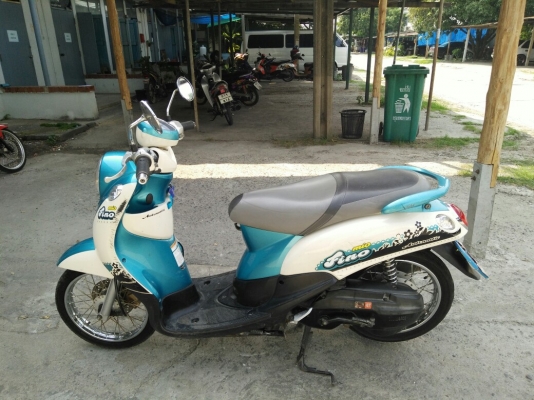 ขายคับ ฟีโน่สวยๆ ขายคับ ฟีโน่สวยๆ