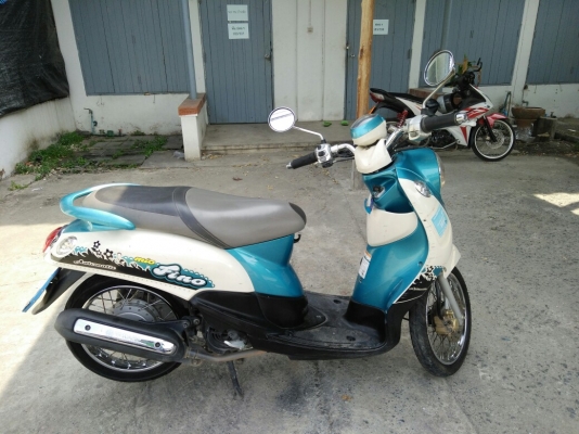 ขายคับ ฟีโน่สวยๆ ขายคับ ฟีโน่สวยๆ