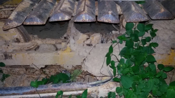 ขายรถแทรคเตอร์ KOMATSU D20PL-6 ตีนเป็ดกว้าง 90 ซม.ราคา 160000