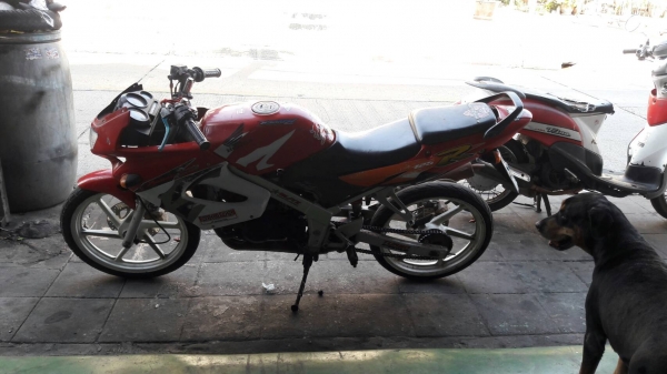 ขาย HONDA LS ปี 43 เครื่องดี เดิมๆ สภาพภายนอกตามรูป เล่มพร้อมชุดโอน ภาษีขาด 2 ปี กว่า อยู่เขตบางแค (หมู่บ้านเศรษฐกิจ) กรุงเทพฯ