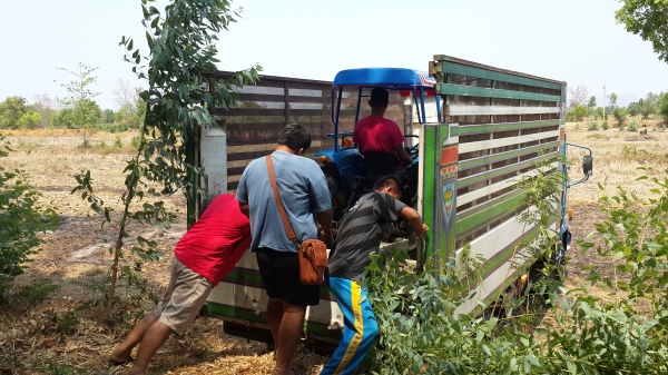 อิเซกิ TS3510 เพาเวอร์ 4 เกียร์เดินหน้า ตัวเปล่า