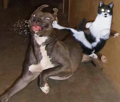 EH 700  เพลาเดียว สโลกลาง  พวงมาลัยธรรมดา ราคา 270,000  บาท