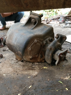 ขายสโลว์ ฮีโน 30000 บาท