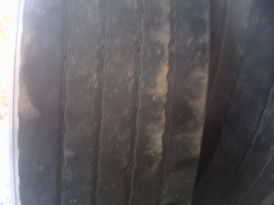 ยางงามมาแล้ว