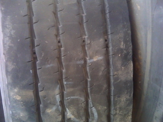 ยางงามมาแล้ว