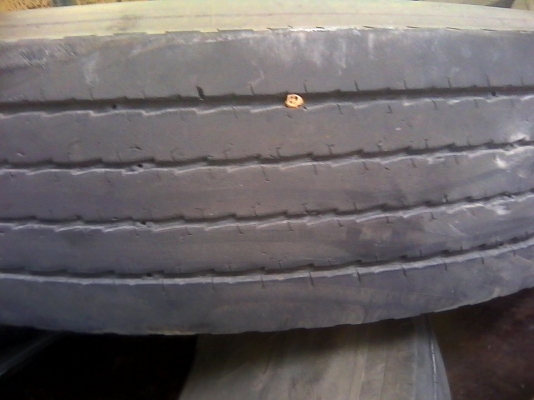 ยางงามมาแล้ว