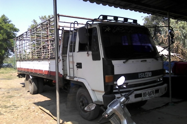 ขาย6ล้อร๊อคเครื่อง6BG175โบอินเตอร์210แรงกระบะคาร์โก้พร้อมคอกวัวยาว6เมตรพร้อมใช้