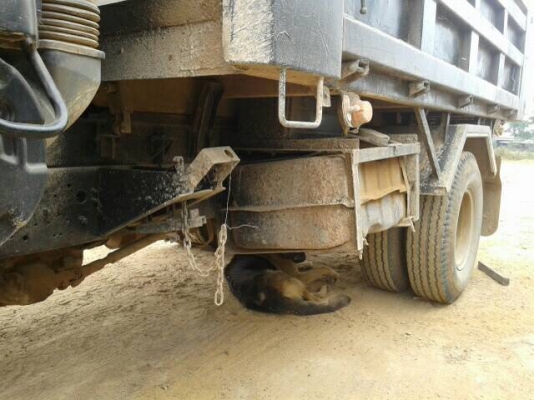 **590,000 บ.ต่อรอง/// 6ล้อดั้มดิน ISUZU ROCKY FRR-195 พาวเวอร์/ทริฟฟี่ Fหน้า-หลัง คัสซีดี มีดามช่วงคอนิดหน่อย ดั้ม5ตัน3.60ม.ยิงหน้า ยาง8.25/16 สภาพ70\% ภาษีเต็ม เล่มฯ ครบ ขายตามสภาพ พร้อมใช้งาน **ขาย ISUZU ROCKY FRR-195HP 6ล้อดั้มดิน5คิว สภาพดี ใช้งานวิ่งง