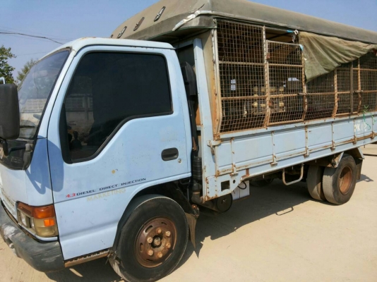 **ราคา 395,000** รถห้าง ISUZU NPR 120 แรงม้า เครือง เกียร์ แคชซีสวยเทพ กระบะ 4.5 เมตร พร้อมใช้งาน(062)387-4789