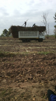 (ขอบคุณเสี่ยสำราญจากสระแก้วมากครับที่มาอุดหนุน)รับแลกเปลี่ยนและ(ขาย) 10 ล้อดั้ม1 เพลา  เกียร์HO ช่วงล่างใหญ่ของhinoกแท่นลูกหมากร้อยเครื่อง 6bf1 175 แรง เบรคทิฟฟี่ พาวเวอร์ทะเบียนพร้อมโอน