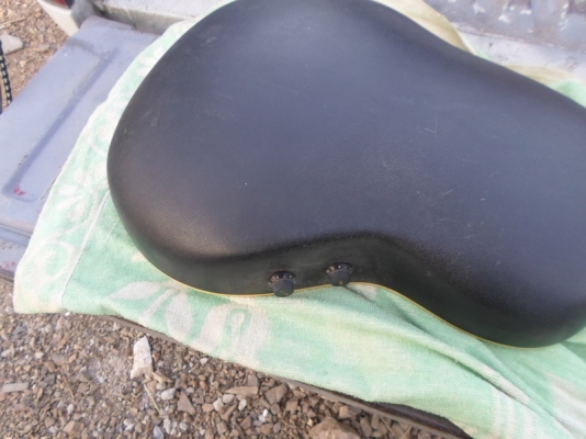 กีต้า หลังเต่าไฟฟ้า