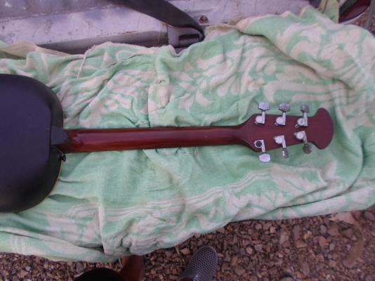 กีต้า หลังเต่าไฟฟ้า