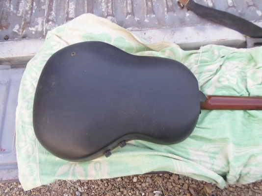 กีต้า หลังเต่าไฟฟ้า