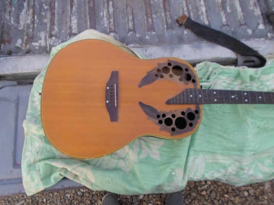 กีต้า หลังเต่าไฟฟ้า