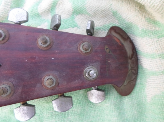 กีต้า หลังเต่าไฟฟ้า