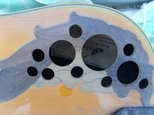 กีต้า หลังเต่าไฟฟ้า