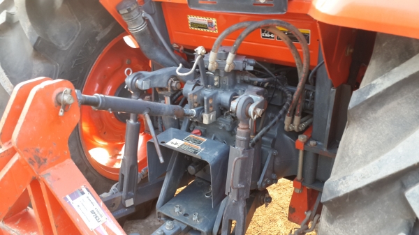 ผานหน้าช้าง.  15000