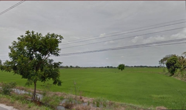 ขายที่ดิน 10 ไร่ 3 งาน 45 ตร.ว. ติดถนนใหญ่ 230 เมตร อยู่โคกโคเฒ่า สุพรรณ ขายที่ดิน 10 ไร่ 3 งาน 45 ตร.ว. ติดถนนใหญ่ 230 เมตร อยู่โคกโคเฒ่า สุพรรณ