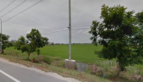 ขายที่ดิน 10 ไร่ 3 งาน 45 ตร.ว. ติดถนนใหญ่ 230 เมตร อยู่โคกโคเฒ่า สุพรรณ