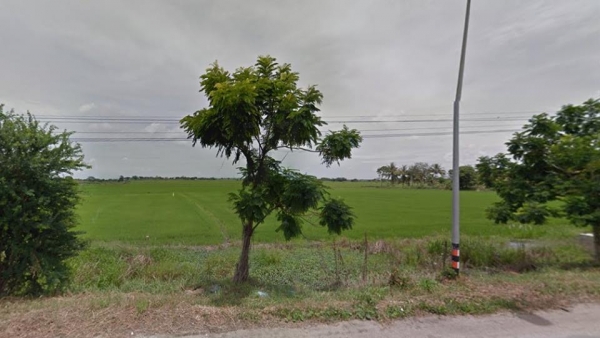 ขายที่ดิน 10 ไร่ 3 งาน 45 ตร.ว. ติดถนนใหญ่ 230 เมตร อยู่โคกโคเฒ่า สุพรรณ ขายที่ดิน 10 ไร่ 3 งาน 45 ตร.ว. ติดถนนใหญ่ 230 เมตร อยู่โคกโคเฒ่า สุพรรณ