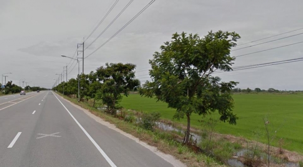 ขายที่ดิน 10 ไร่ 3 งาน 45 ตร.ว. ติดถนนใหญ่ 230 เมตร อยู่โคกโคเฒ่า สุพรรณ ขายที่ดิน 10 ไร่ 3 งาน 45 ตร.ว. ติดถนนใหญ่ 230 เมตร อยู่โคกโคเฒ่า สุพรรณ