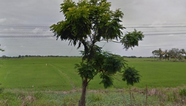 ขายที่ดิน 10 ไร่ 3 งาน 45 ตร.ว. ติดถนนใหญ่ 230 เมตร อยู่โคกโคเฒ่า สุพรรณ ขายที่ดิน 10 ไร่ 3 งาน 45 ตร.ว. ติดถนนใหญ่ 230 เมตร อยู่โคกโคเฒ่า สุพรรณ