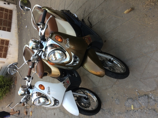 ฟีโน่คลาสิค ปี54 สวยๆ เลือกเอาคับว่าชอบคันไหน สวยทั้งคู่