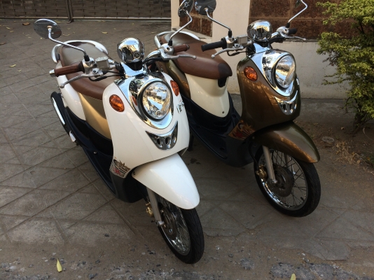 ฟีโน่คลาสิค ปี54 สวยๆ เลือกเอาคับว่าชอบคันไหน สวยทั้งคู่